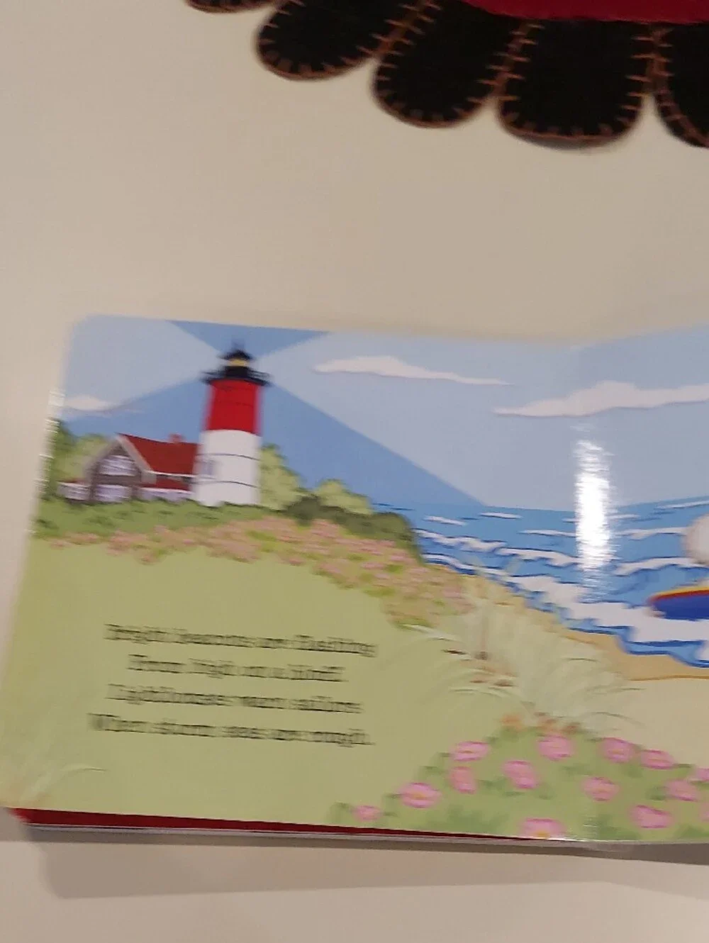 Hello, Cape Cod! Board Book by Martha Day Zschock